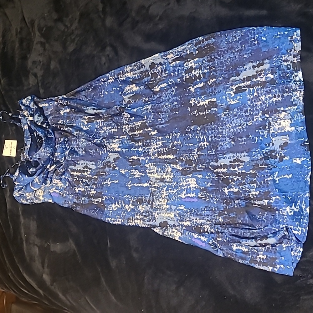 Blue and White Printed Silk Dress